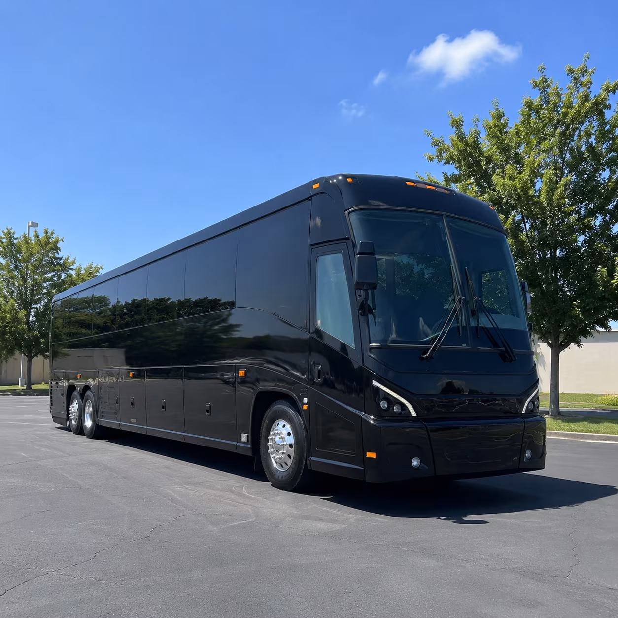 cincinnati bengals and reds game day bus rentals from dayton